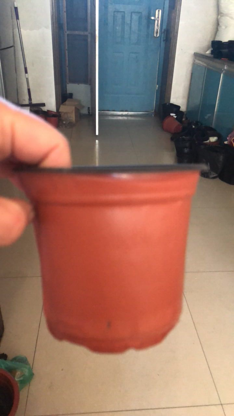 双色花盆120