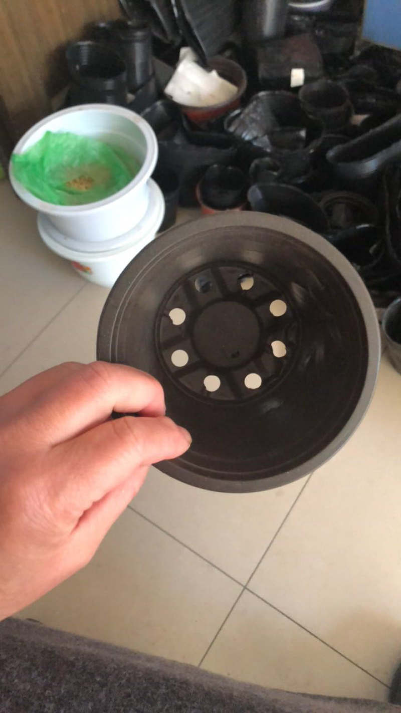 双色花盆120