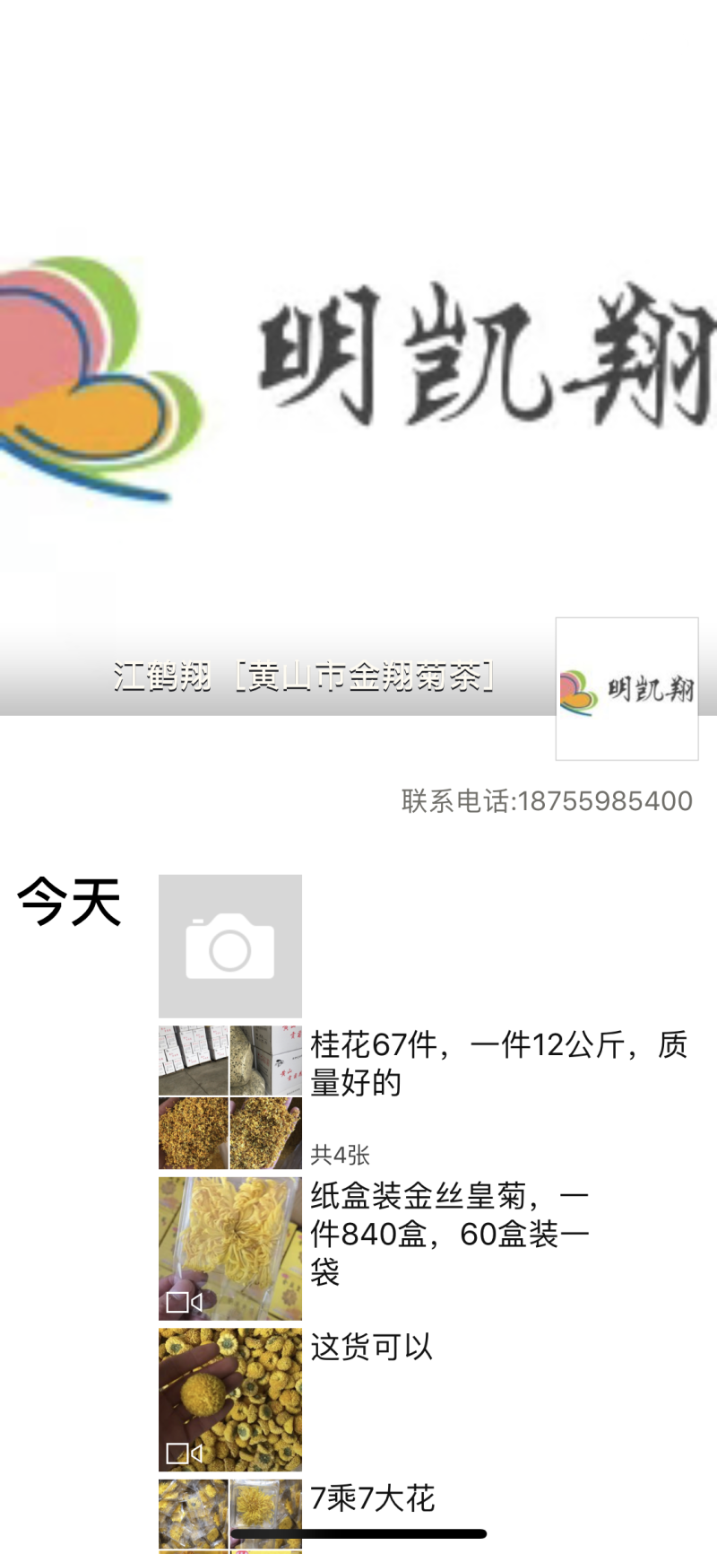 金丝皇菊