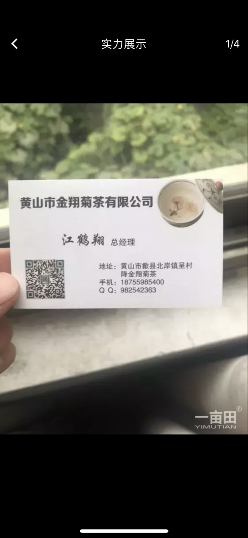 金丝皇菊