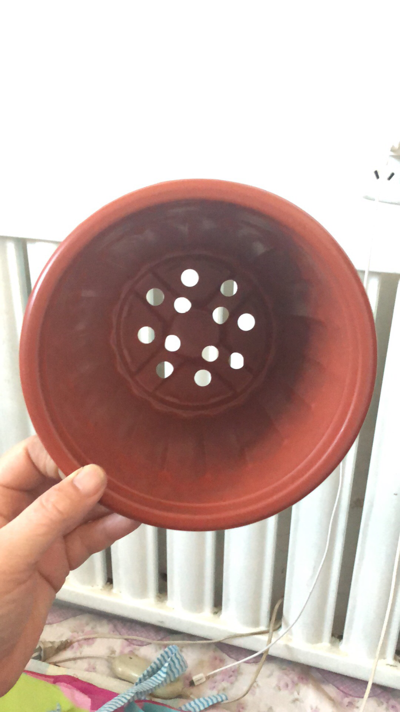 红色竹节盆200的