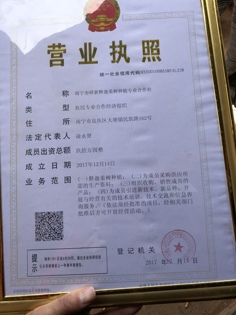 释迦果