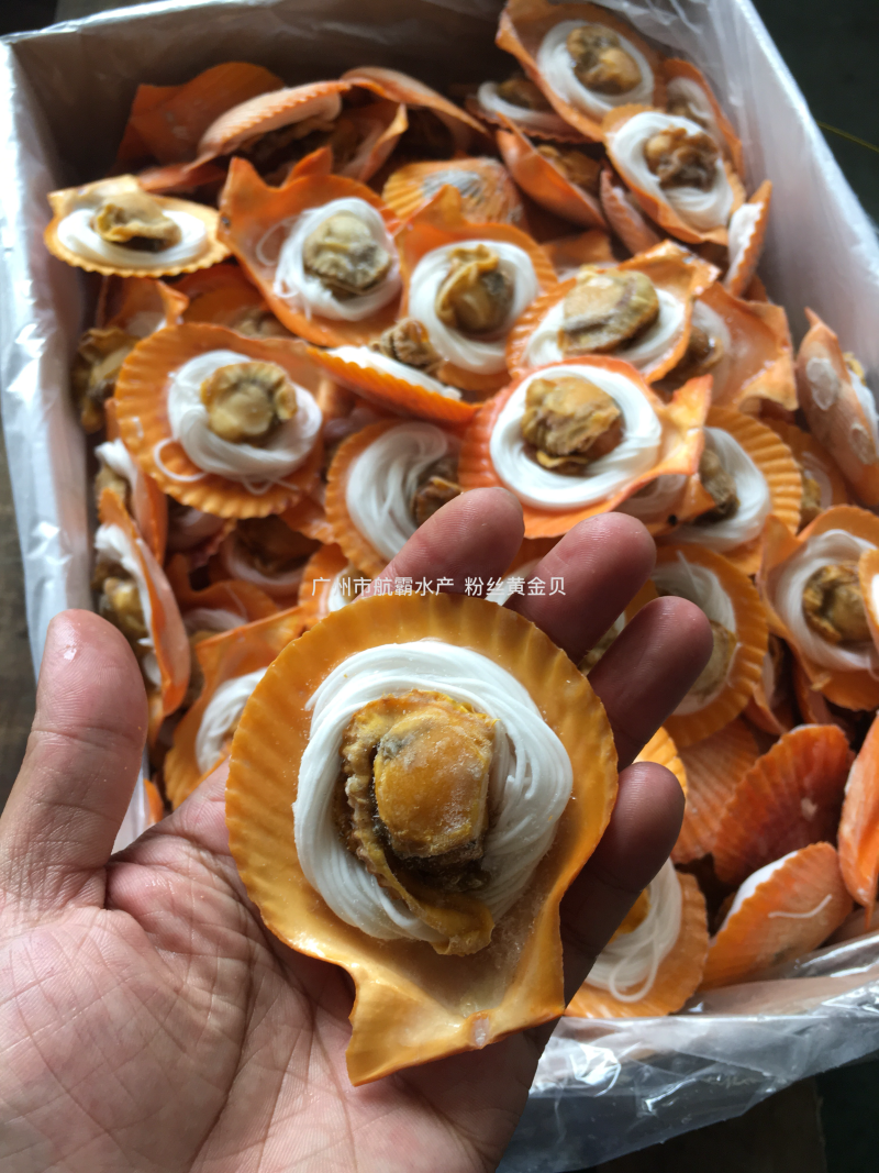 精选粉丝黄金贝