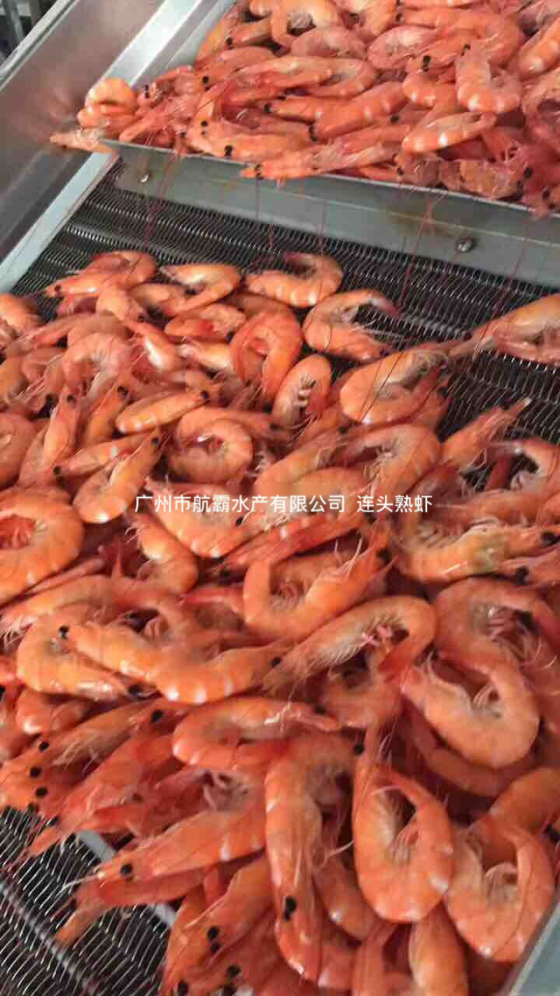 国产南美熟虾