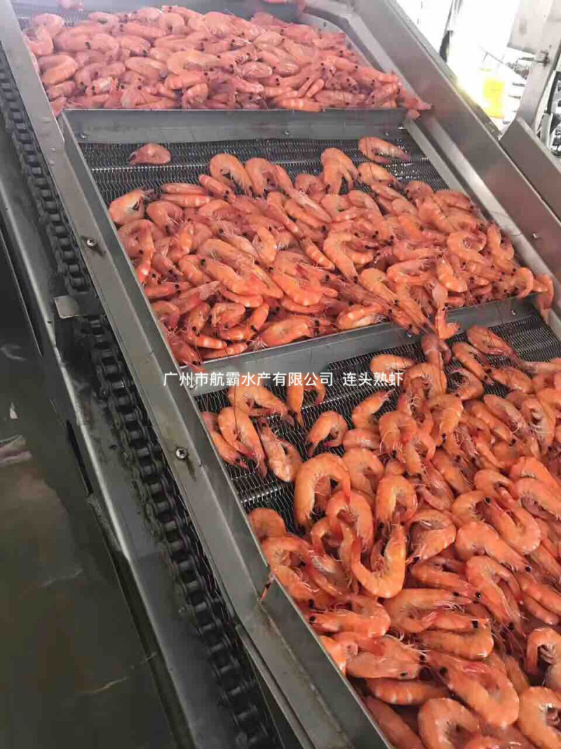 国产南美熟虾