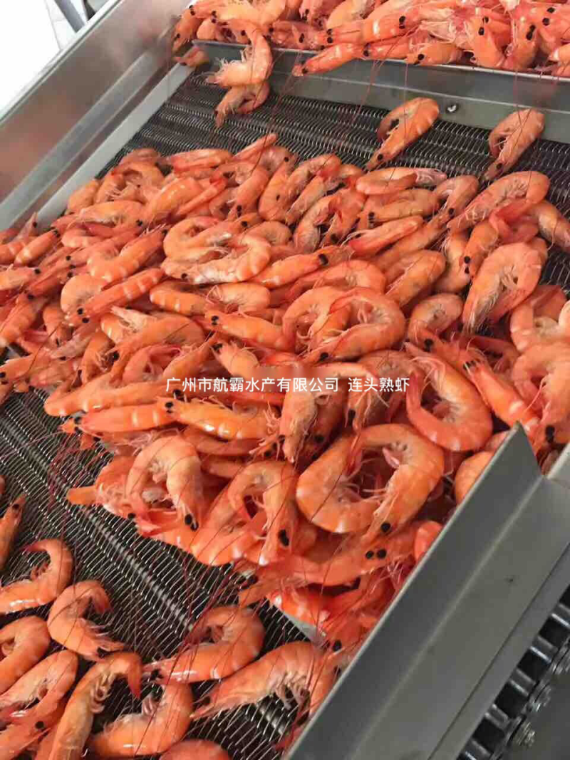国产南美熟虾