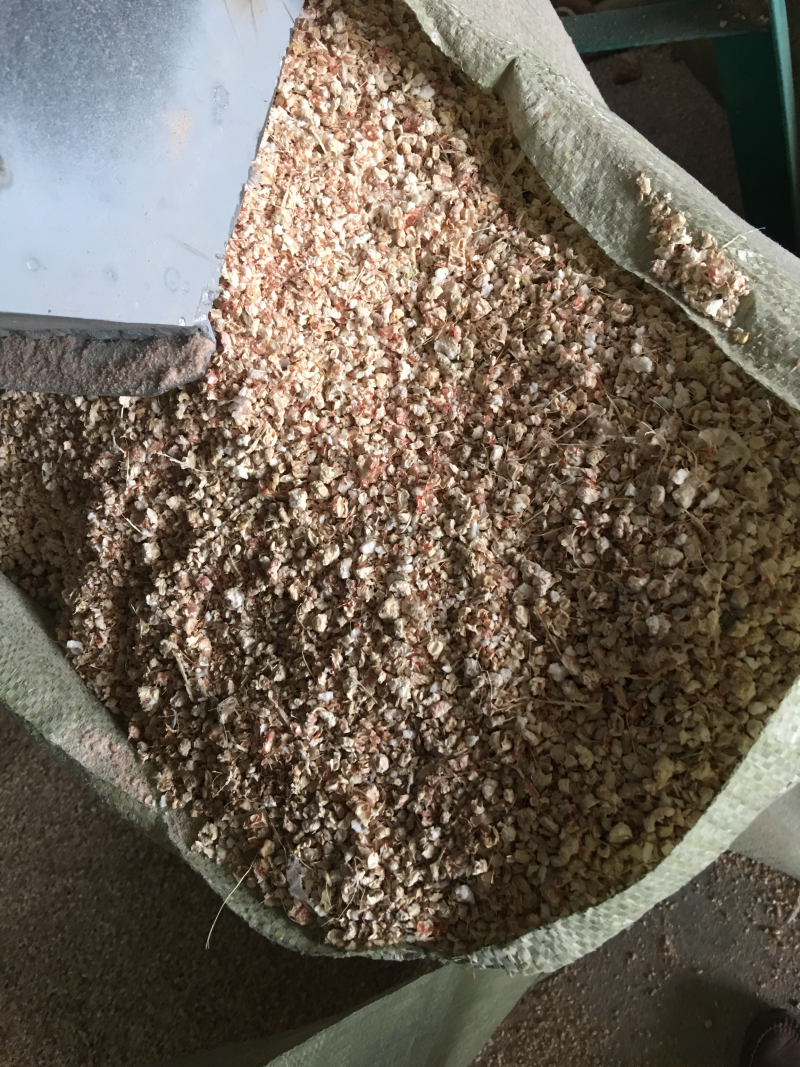 玉米芯，玉米芯粉