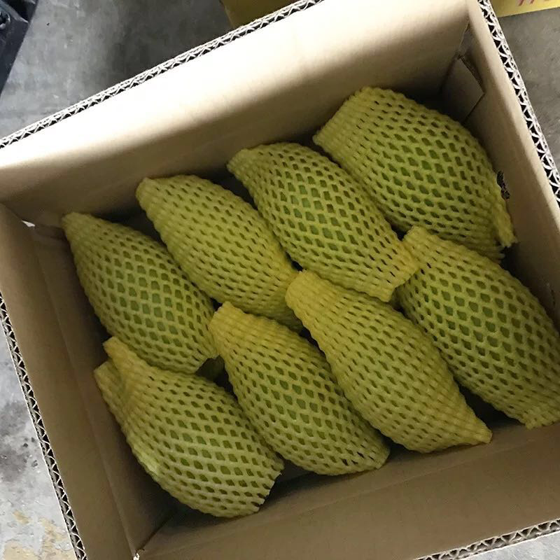 大青芒果又又脆又甜