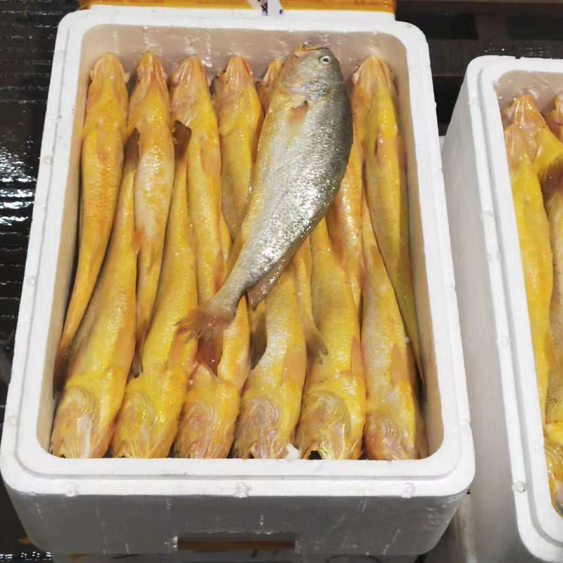 海鲜大批发
