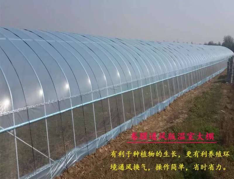 大棚钢架温室蔬菜大棚