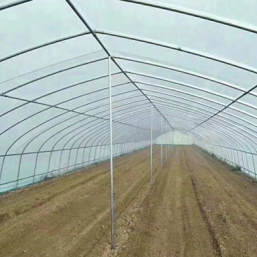 大棚钢架温室蔬菜大棚
