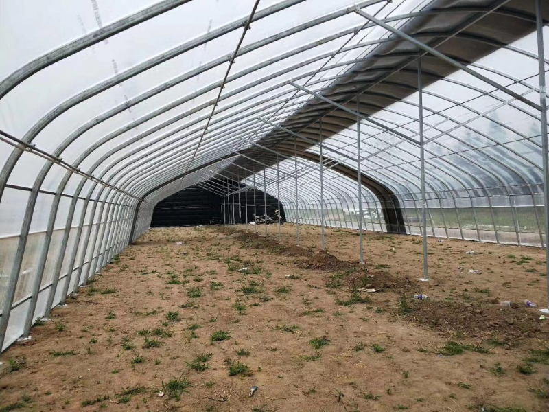 大棚钢架温室蔬菜大棚