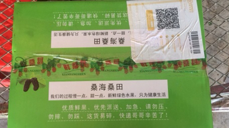 广东桑，新鲜桑葚，桑葚现采现发