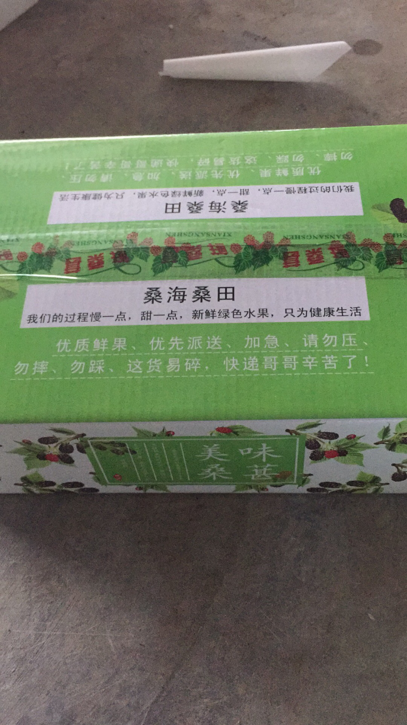 广东桑，新鲜桑葚，桑葚现采现发