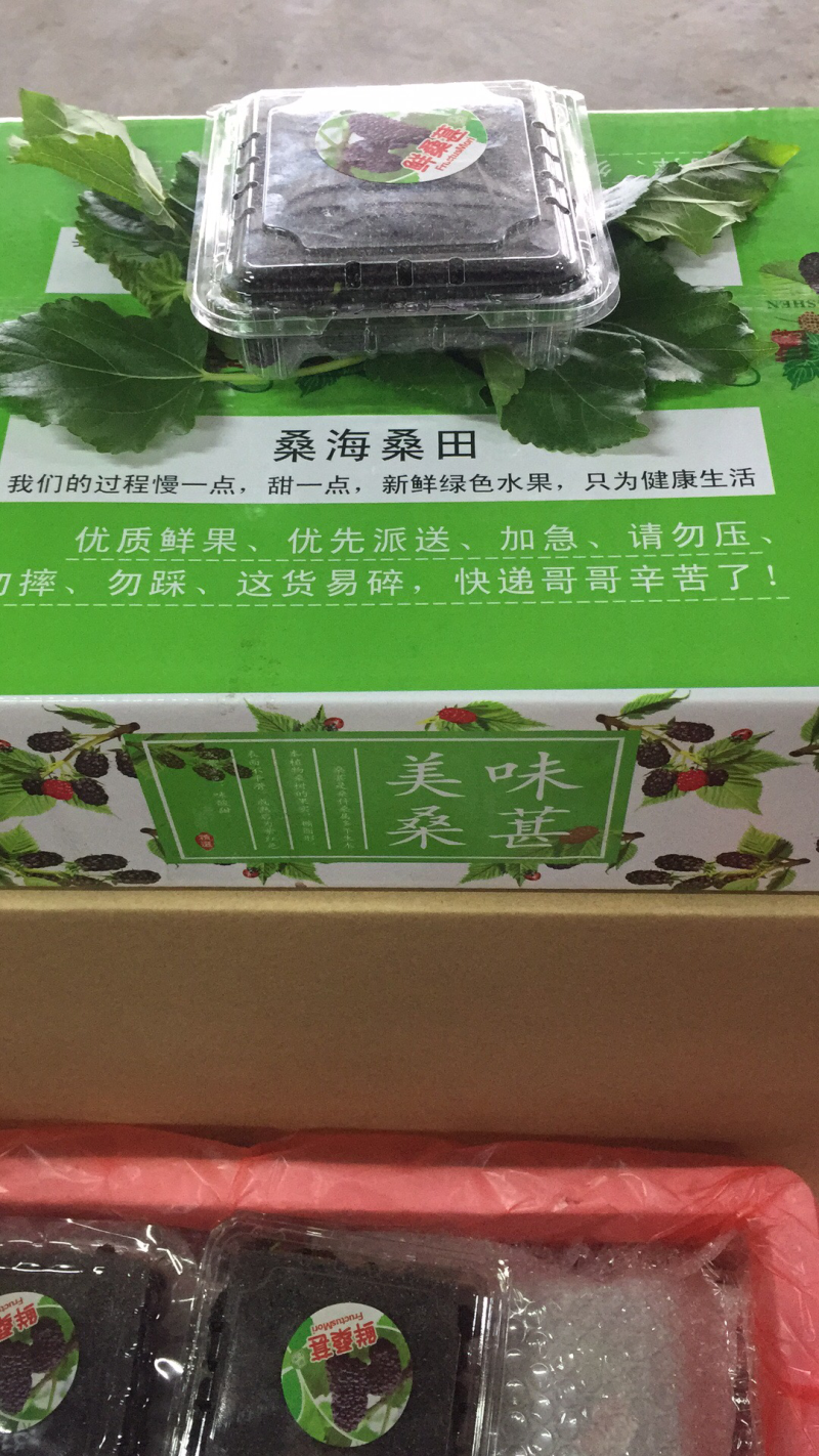 广东桑，新鲜桑葚，桑葚现采现发