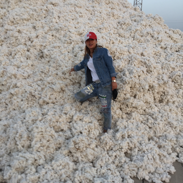 新疆籽棉