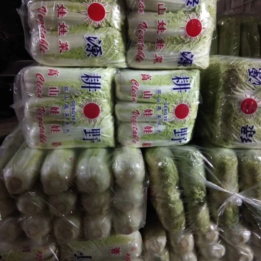 四季不断货！长期合作