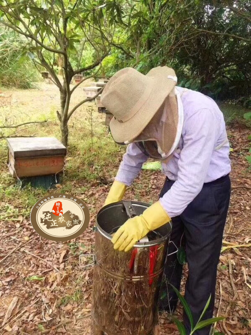 猪油般的野桂花冬蜜自家蜂场直供
