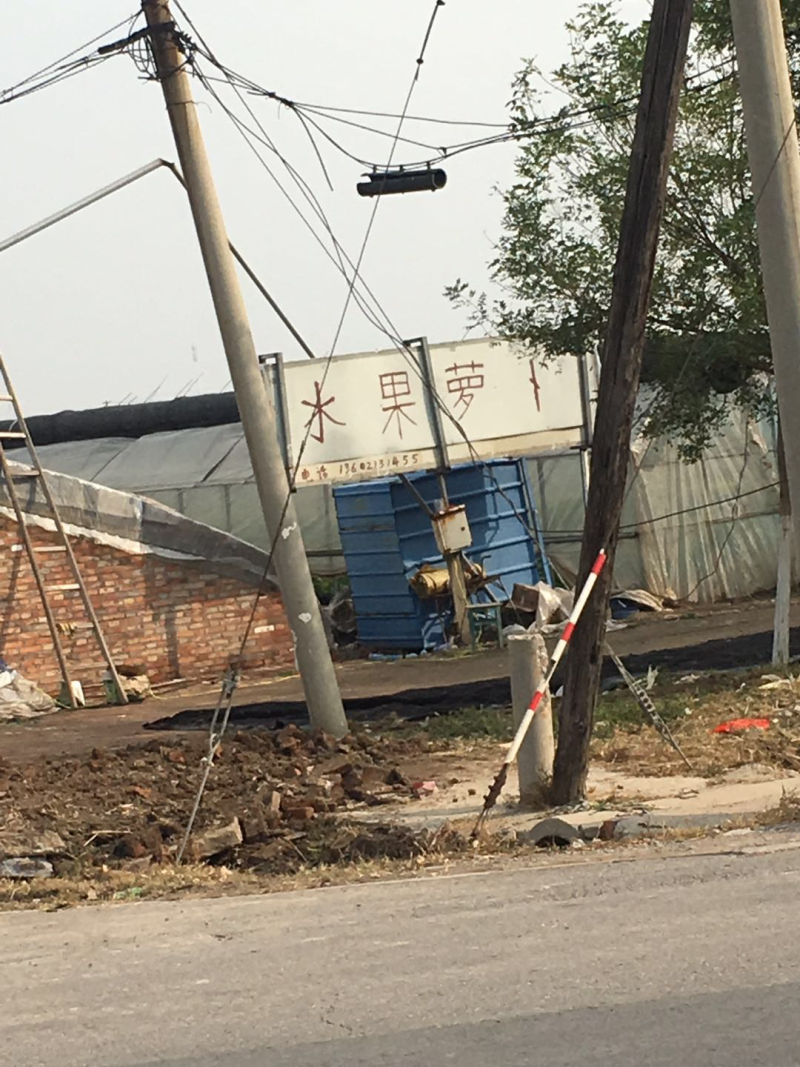 水果萝卜～青龙1号