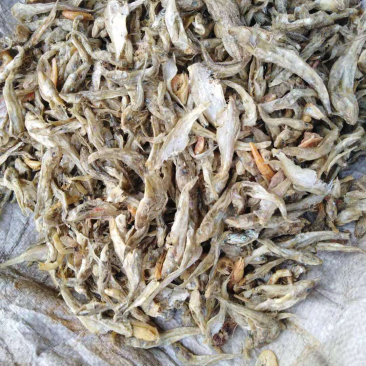 鹅饲料鱼粉