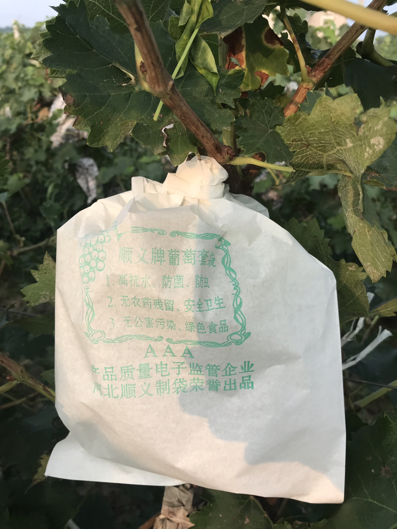 果袋水果套袋，厂家直发