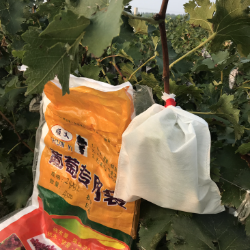 果袋水果套袋，厂家直发