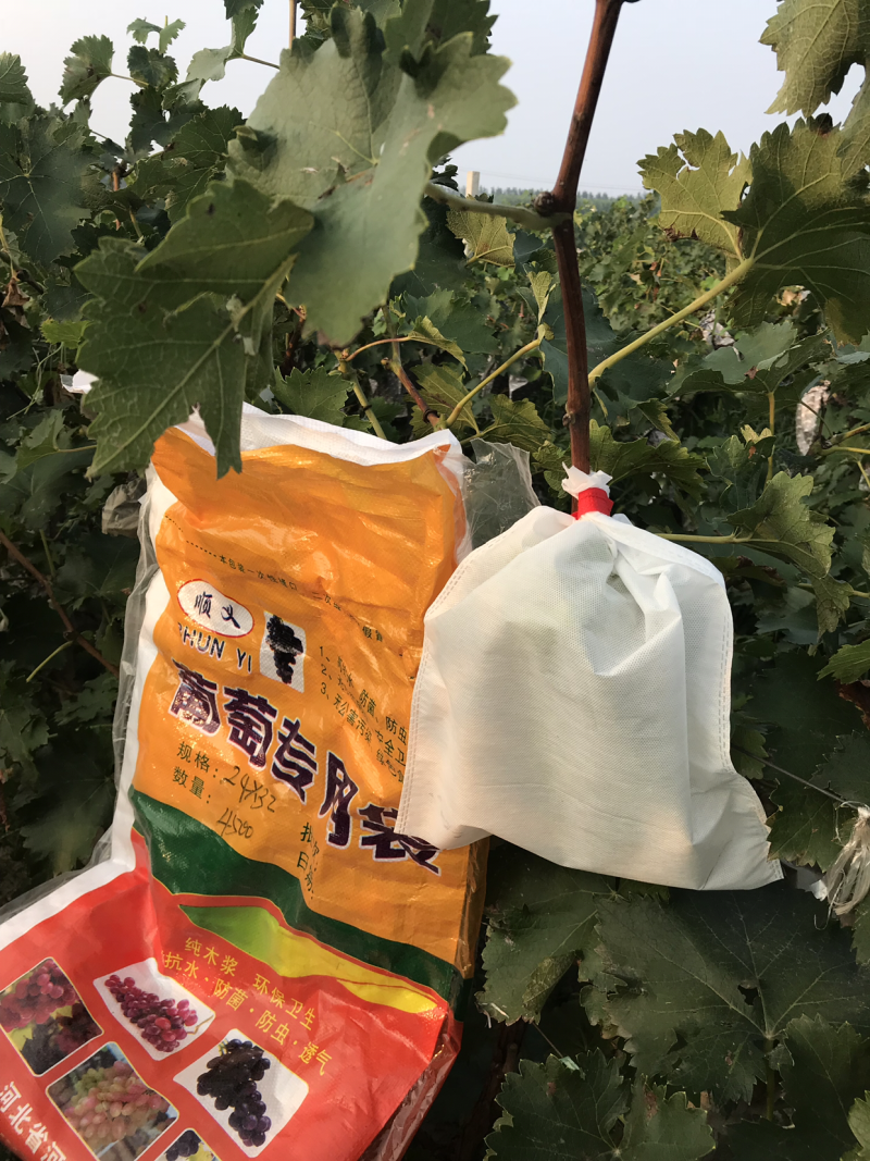 果袋水果套袋，厂家直发