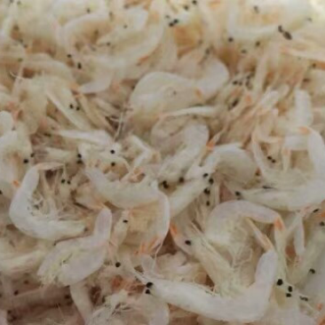 特级淡干虾皮烟台本地虾皮