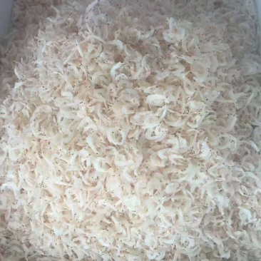虾皮