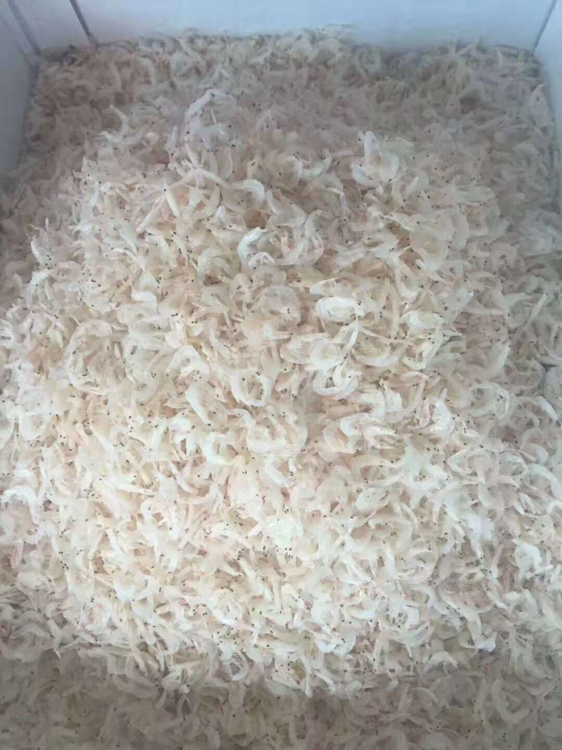 虾皮