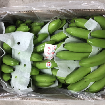香蕉