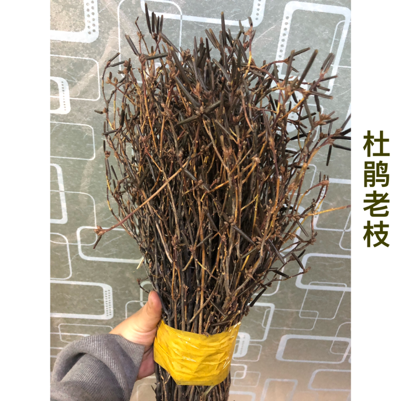 大兴安岭产地直发兴安杜鹃干枝