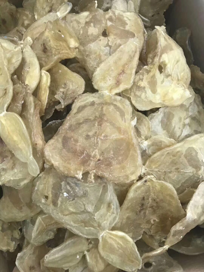 鱼胶