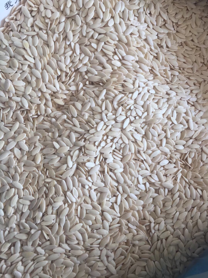黄瓜籽黄瓜子东北黄瓜子旱黄瓜子