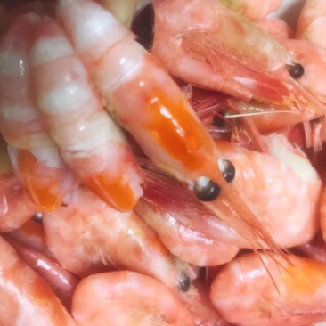 皇冠冰虾