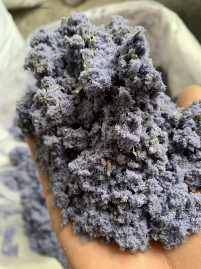 批发各种规格薰衣草