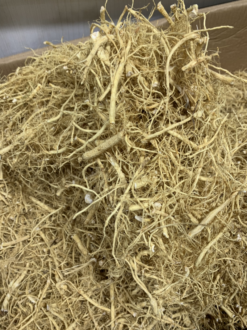 批发人参须，西洋参须