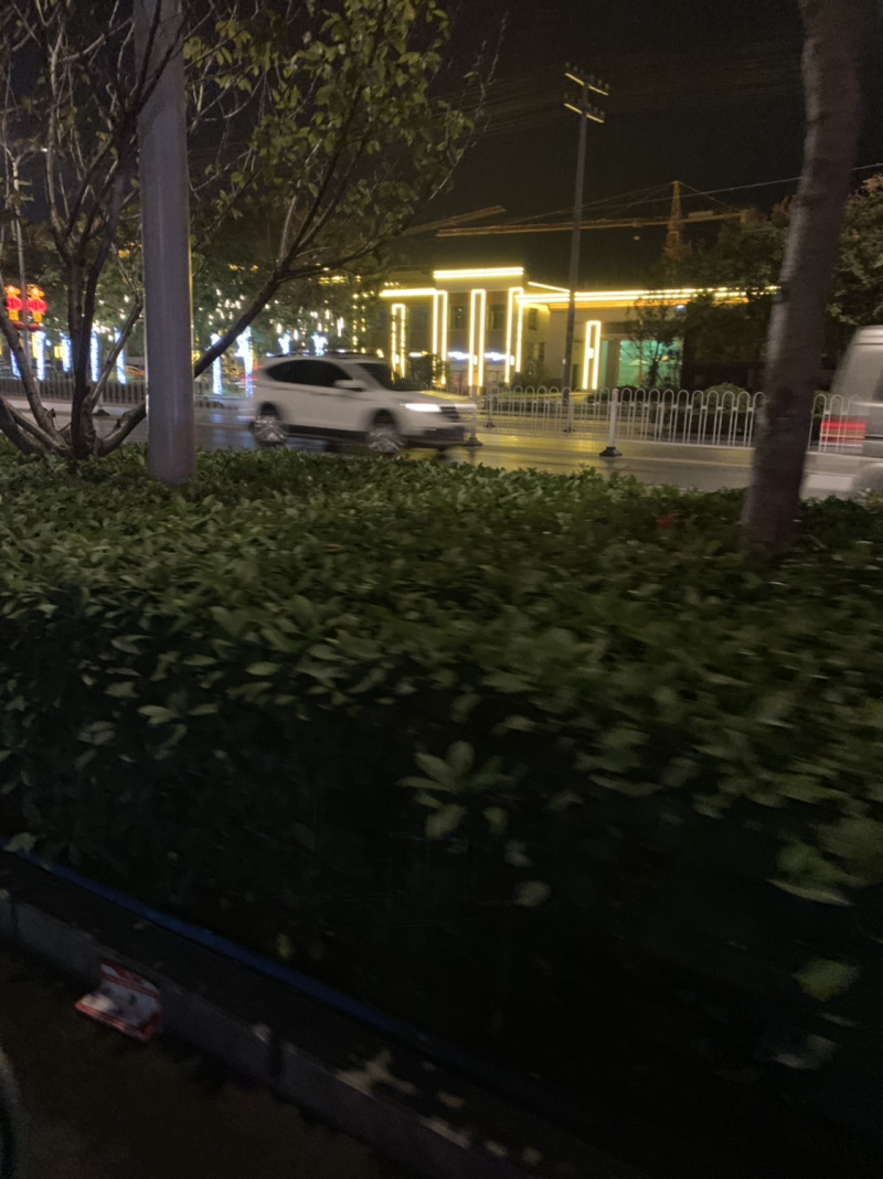 正品化橘红