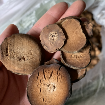 正品化橘红