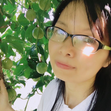 紫色百香果