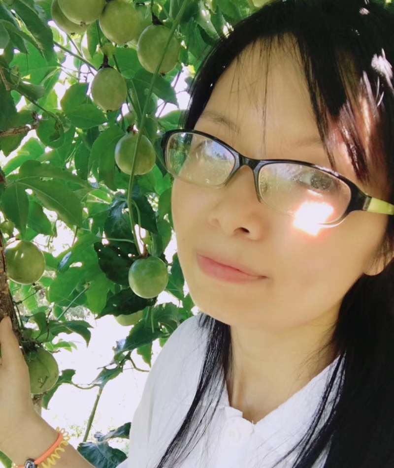 紫色百香果