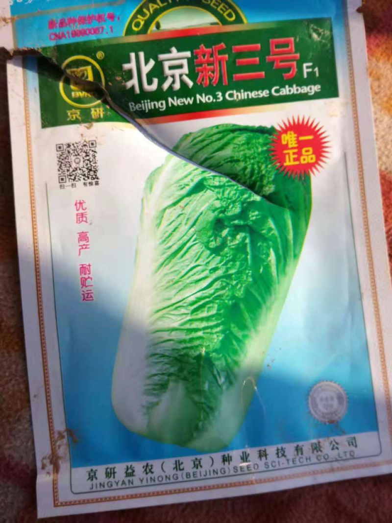 河北柏乡白菜-北京新3号现货充足产地直发