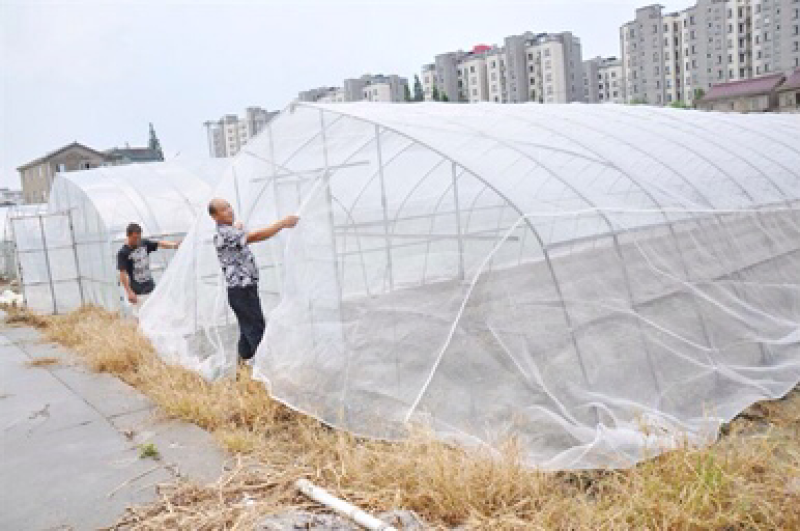 只卖全新料防虫网免费包邮60目质量质保5年以上