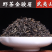 明前春茶野茶金骏眉