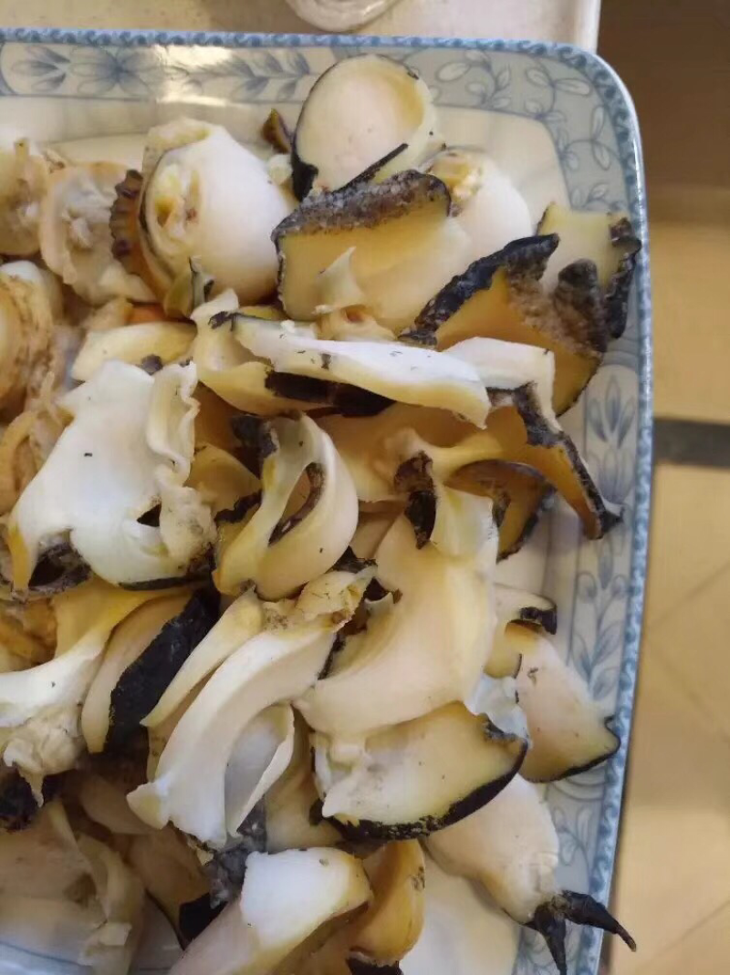 海螺肉