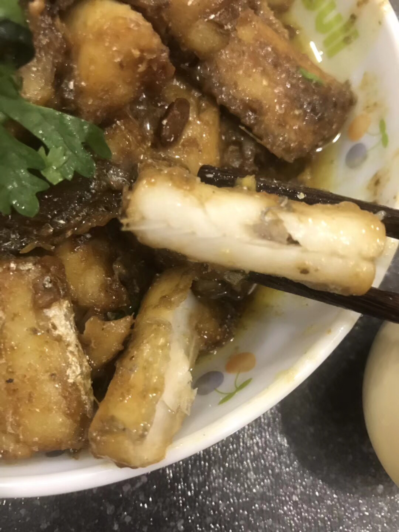野生刀鱼