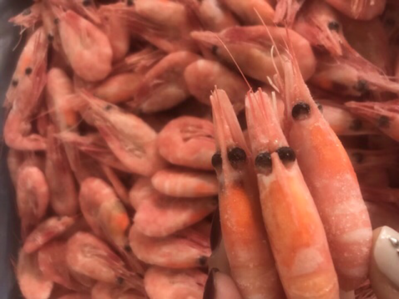 冰虾