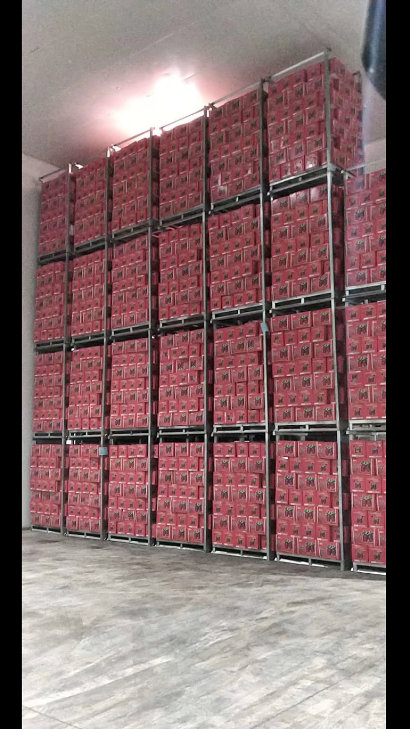 保鲜库！冷冻库！库容30000吨
