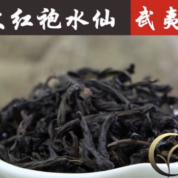 大红袍水仙