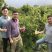 沙糖桔，生态沙糖桔，200元认种桔子树
